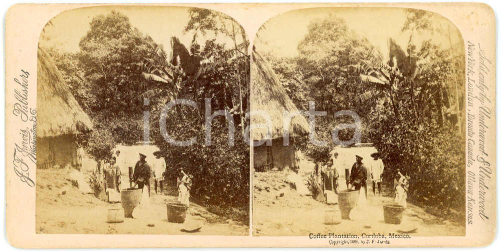1890 CORDOBA (MEXICO) Coffee plantation - ANIMATED Stereoview JARVIS Fotografia stereoscopica d'epoca, su cartoncino rigido.EDITORE: Jarvis - WashingtonFORMATO: 18x9 cmCONDIZIONI: G     originale e autentica 1
