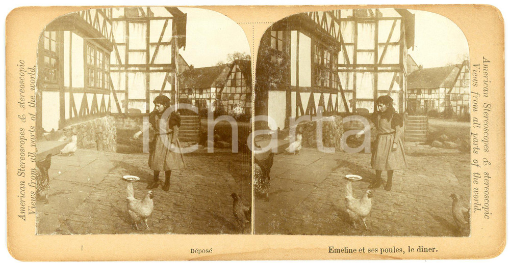 1905 ca FRANCE Emeline et ses poules, le dîner - ANIMATED Stereoview Fotografia stereoscopica d'epoca, su cartoncino rigido.Serie "American Stereoscopes and stereoscopic views from all parts of the world".FORMATO: 18x9 cmCONDIZIONI: F (macchia di umidit&agrave; al margine inferiore)     originale e autentica 1
