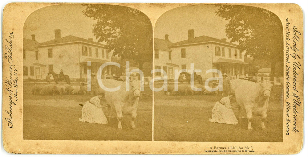 1894 USA A Farmer's Life for Me - Milking a cow - Stereoview STROHMEYER Fotografia stereoscopica d'epoca, su cartoncino rigido.EDITORE: Strohmeyer &amp; Wyman, New YorkFORMATO: 18x9 cmCONDIZIONI: F (smussature angolari; abrasioni al verso)    originale e autentica 1