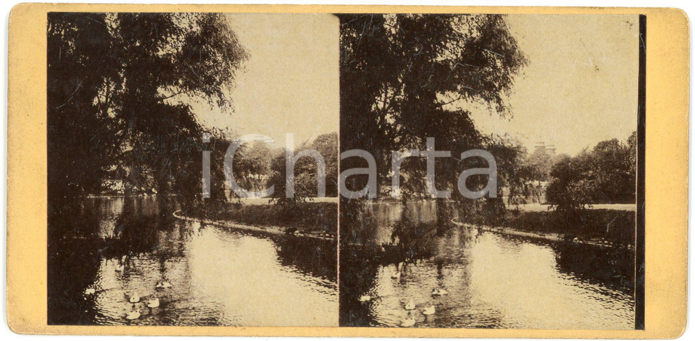 1910 ca LIEGE (BELGIQUE) Jardin botanique - Old stereoview Fotografia stereoscopica d'epoca, su cartoncino rigido.FORMATO: 18x9 cmCONDIZIONI: G    originale e autentica 1