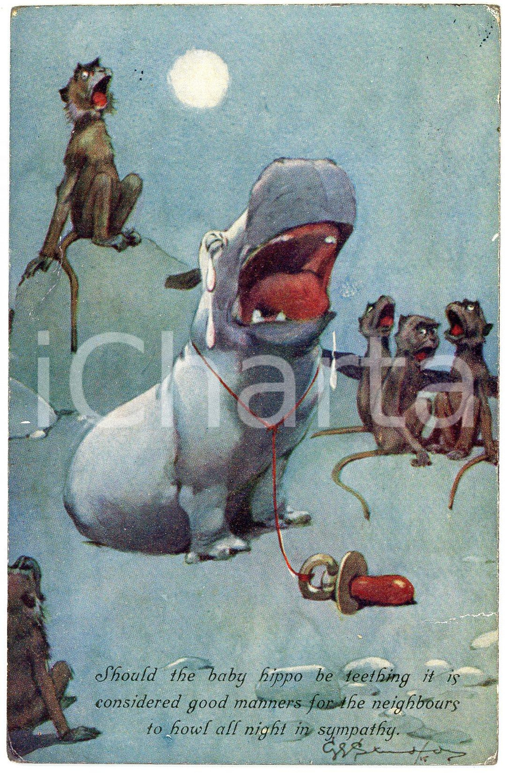 1910 ca HUMOUR While baby hippo is teething, monkeys howling - Vintage postcard  Cartolina postale d'epoca, viaggiata.CONDIZIONI: POOR (piegatura al lato sinistro e al lato destro; lievi smussature agli angoli)FORMATO: FP    originale e autentica 1