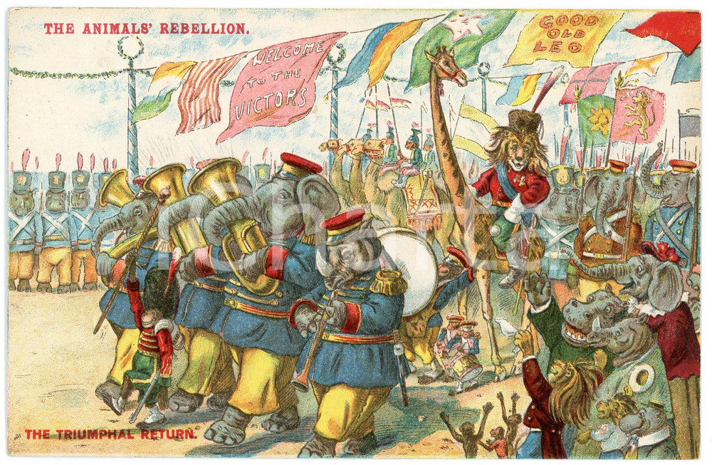 1910 ca The Animal's Rebellion - The Triumphal Return - ANTHROPOMORPHIC postcard  Cartolina postale d'epoca, non viaggiata.CONDIZIONI: GFORMATO: FP    originale e autentica 1
