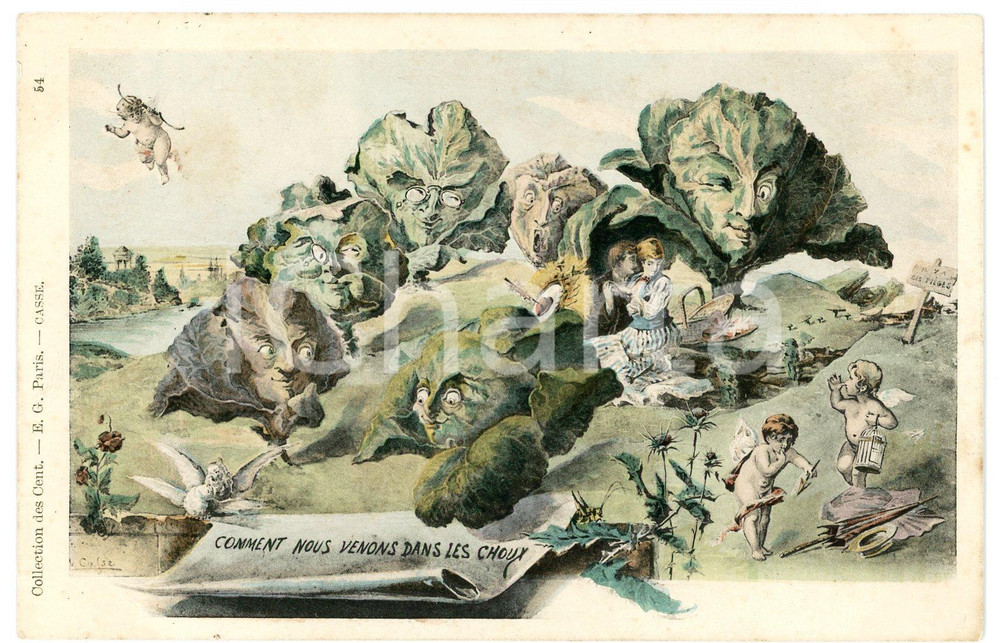 1900 ca Artist Michel CASSÉ - Comment nous venons dans les choux *Carte postale Cartolina postale d'epoca, illustrata, non viaggiata.CONDIZIONI: GFORMATO: FPEDITORE:  Collection des Cent - Paris    originale e autentica 1