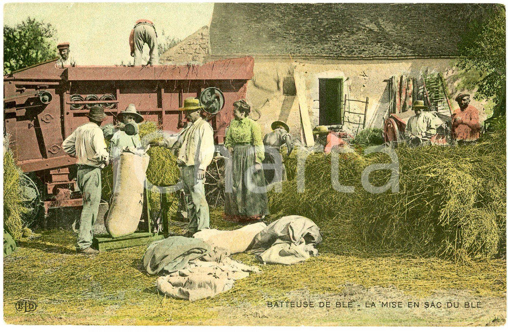 1908 FRANCE Batteuse de blé - La mise en sac du blé - Carte postale FP VG  Cartolina postale d'epoca, viaggiata.CONDIZIONI: FAIR (smussature agli angoli)FORMATO: FP    originale e autentica 1