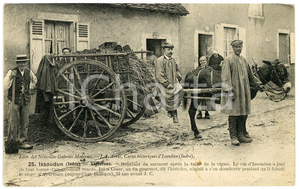1910 ca ISSOUDUN / INDRE (FRANCE) Vignerons - Animated postcard donkey cart  Cartolina postale d'epoca, non viaggiata.CONDIZIONI: G (piccola macchia)FORMATO: FP    originale e autentica 1