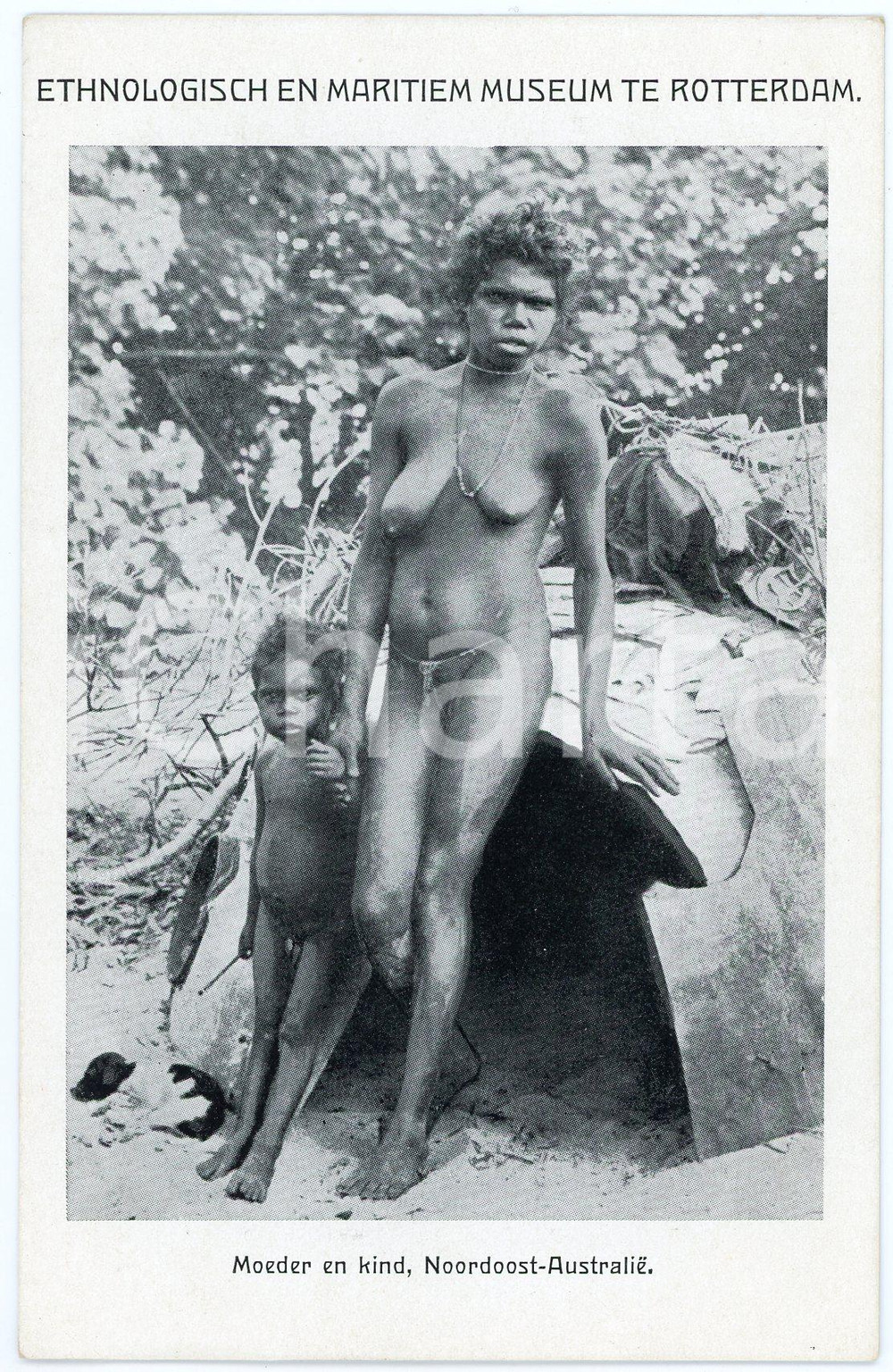 1960 NORTH AUSTRALIA Mother and child - Ethnologisch Museum ROTTERDAM Postcard  Cartolina postale d'epoca, non viaggiata.CONDIZIONI: FAIRFORMATO: FP    originale e autentica 1