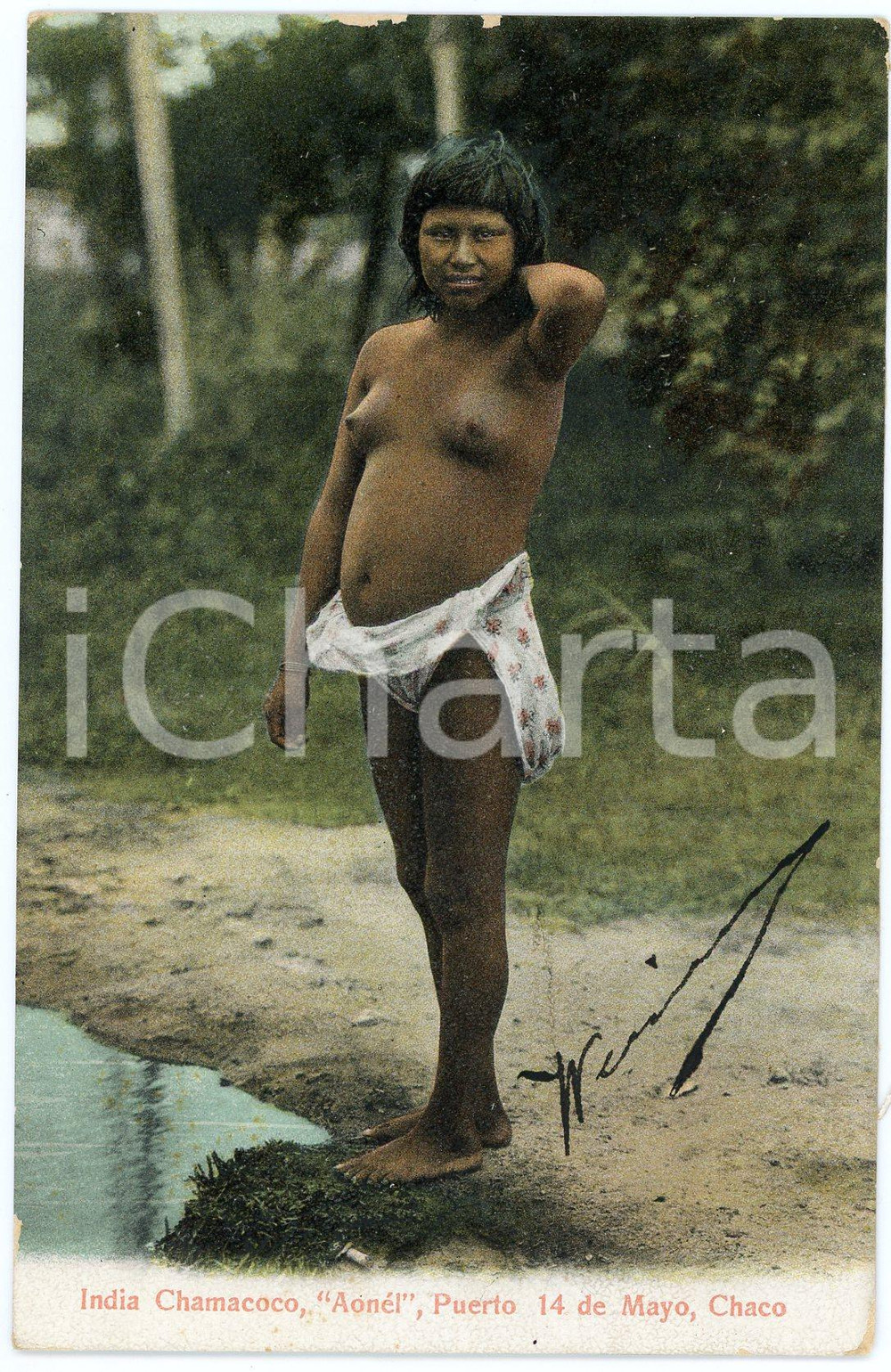 1920 ca ARGENTINA - CHACO India CHAMACOCO Puerto 14 de Mayo ETHNIC NUDE Postcard  Cartolina postale d'epoca, viaggiata.CONDIZIONI: FAIR (lievi smussature agli angoli, sbrecciature ai margini)FORMATO: FPEDITORE: R. Rosauer, Buenos Aires    originale e autentica 1