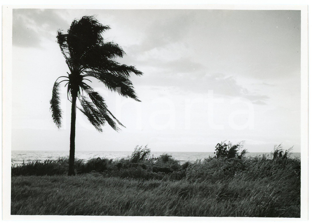 1949 BURUNDI Tornade sur le lac TANGANIKA - Photo J. MULDERS 18x12 cm  Fotografia d'epoca, che reca al verso la didascalia originale.FOTOGRAFO: J. Mulders - CongopresseCONDIZIONI: GFORMATO: 18x12 cm     originale e autentica 1