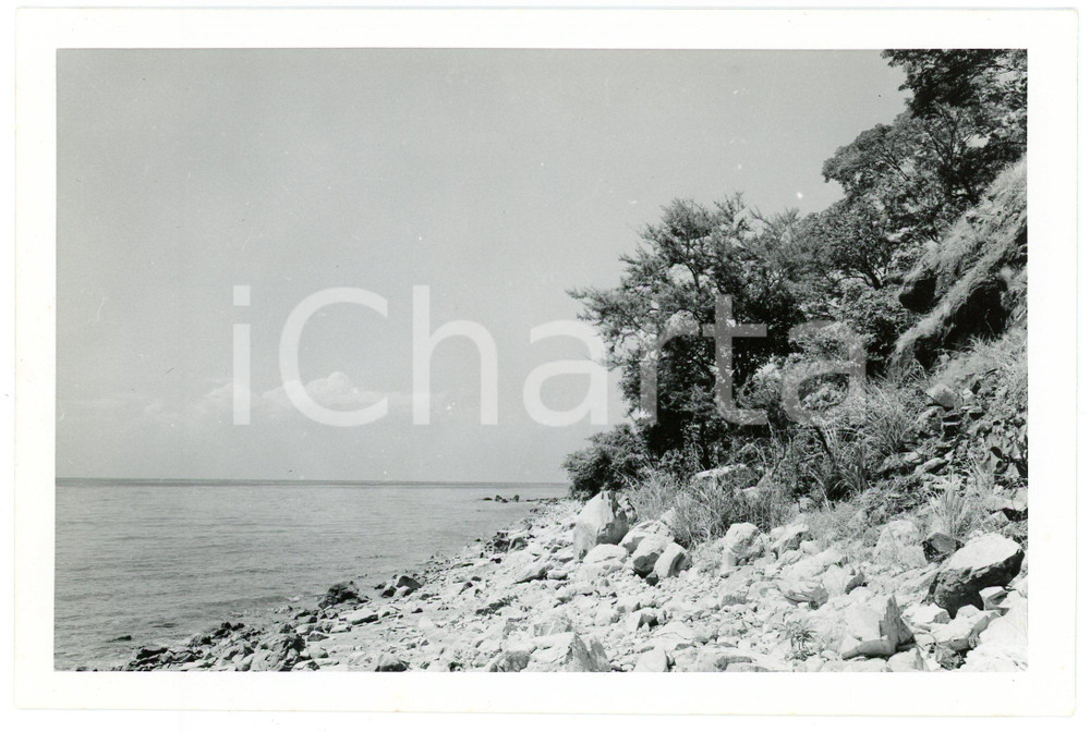 1949 RUANDA - NYANZA - La rive du lac TANGANIKA - Photo J. MULDERS 18x12 cm  Fotografia d'epoca, che reca al verso la didascalia originale.FOTOGRAFO: J. Mulders - CongopresseCONDIZIONI: G (ma piccola piegatura centrale)FORMATO: 18x12 cm     originale e autentica 1