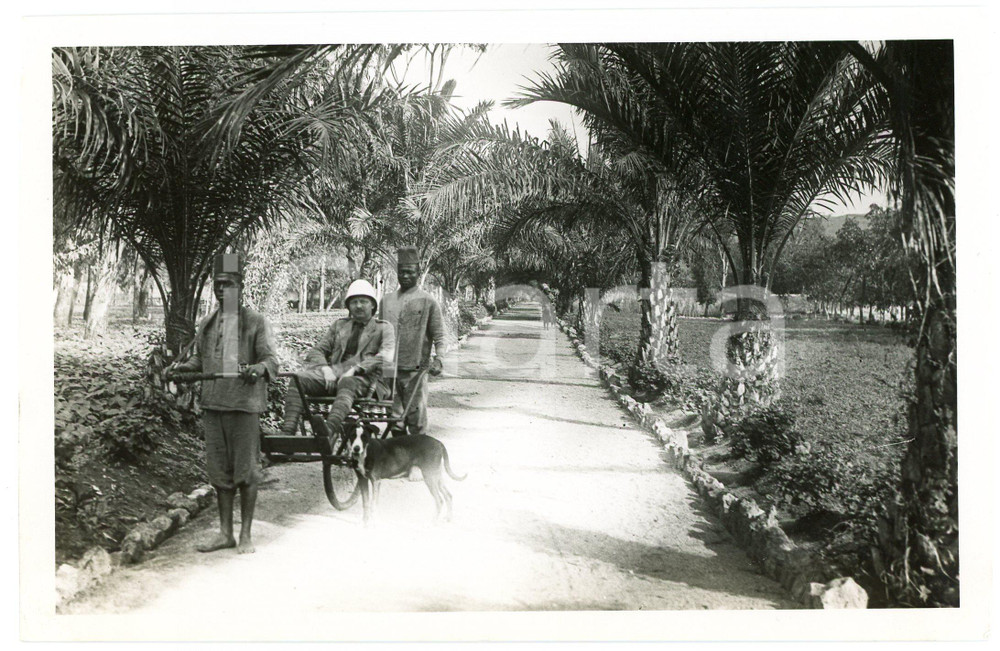 1918 RUANDA - KISENYI - Allée avec européen en rickshaw *Photo REPRINT 1950  Fotografia d'epoca, scattata nel 1918, ma ristampata nel 1950 circa, con didascalia originale dell'agenzia al verso.FOTOGRAFO: E. Gourdinne - CongopresseCONDIZIONI: GFORMATO: 18x12 cm     originale e autentica 1