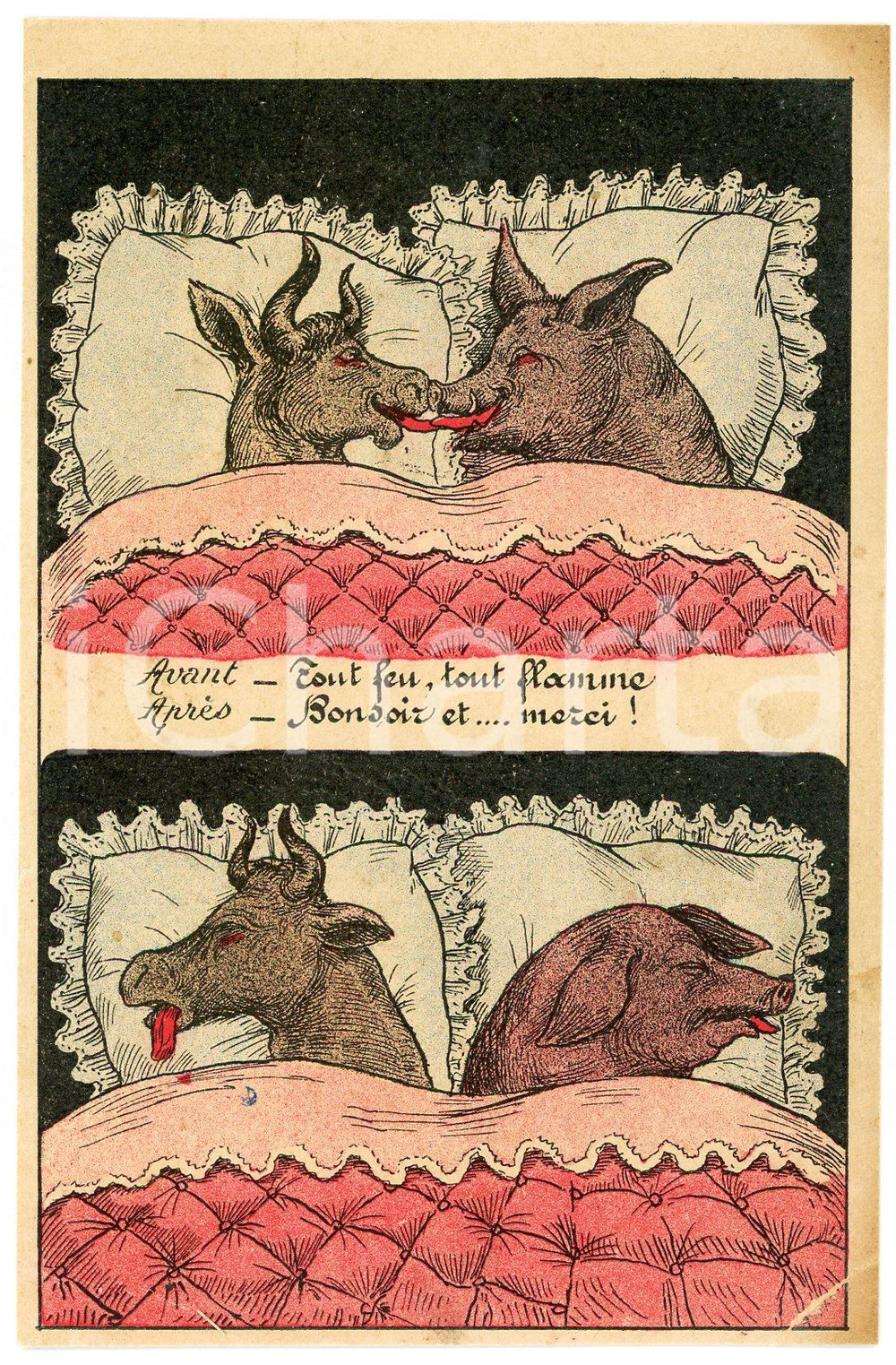 1910 ca HUMOUR - LOVERS Pig and goat in a bed "Tout feu, toute flamme" Postcard  Cartolina postale d'epoca, non viaggiata.CONDIZIONI: P (piegatura angolare evidente e ingiallimenti)FORMATO: FP    originale e autentica 1