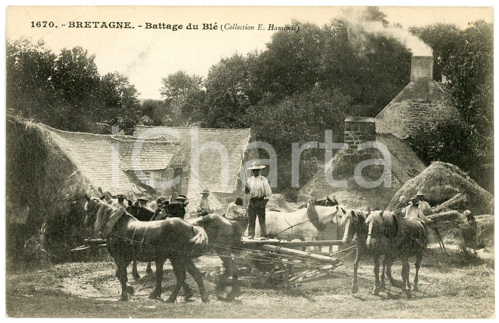 1900 ca BRETAGNE Battage du Blé - Collection E. HAMONIC - Carte postale FP  Cartolina postale d'epoca, non viaggiata. FAIR/discreto Lievi smussature agli angoli Formato: FP originale e autentica 1