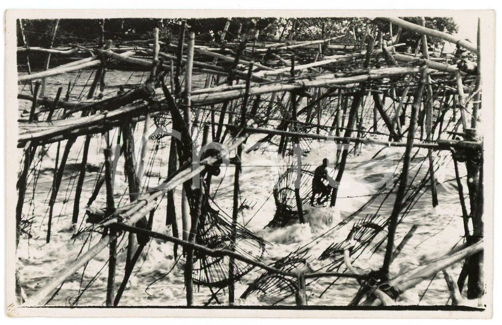 1920 ca CONGO BELGE Fishing in the river -  Postcard FP NV  Cartolina postale d'epoca, non viaggiata.CONDIZIONI: GOODFORMATO: FP    originale e autentica 1