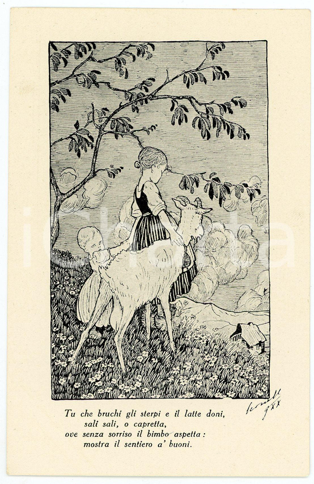 1915 WW1 Capre ai bimbi del TRENTINO Comitato dame emiliane romagnole *Cartolina  Cartolina postale d'epoca, non viaggiata.CONDIZIONI: FAIR FORMATO: FP    originale e autentica 1