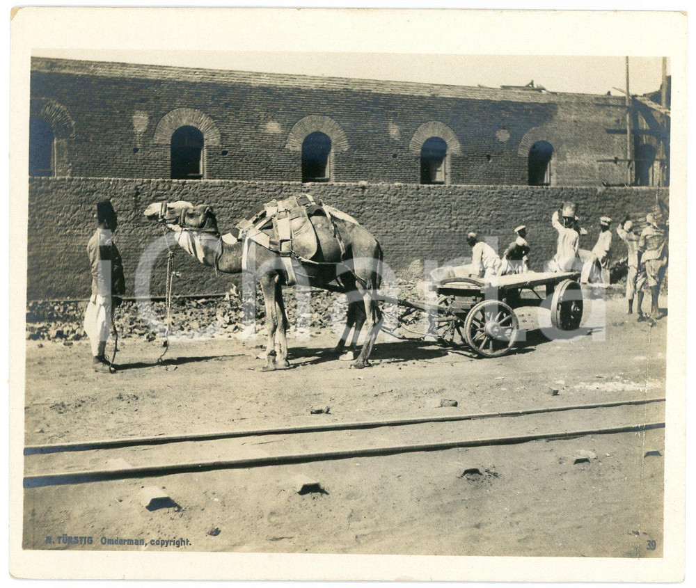 1910 ca Anglo-Egyptian SUDAN - Street scene - Photo R. TÜRSTIG 10x12 cm Fotografia seriale d'epoca.FOTOGRAFO: R. T&uuml;rstig - Omdurman GOOD/buono  Formato: 10x12 cm originale e autentica 1