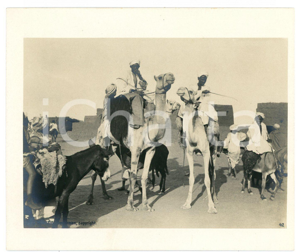 1910 ca Anglo-Egyptian SUDAN - OMDURMAN Men on camels - Photo R. TÜRSTIG Fotografia seriale d'epoca.FOTOGRAFO: R. T&uuml;rstig - Omdurman GOOD/buono  Formato: 10x12 cm originale e autentica 1