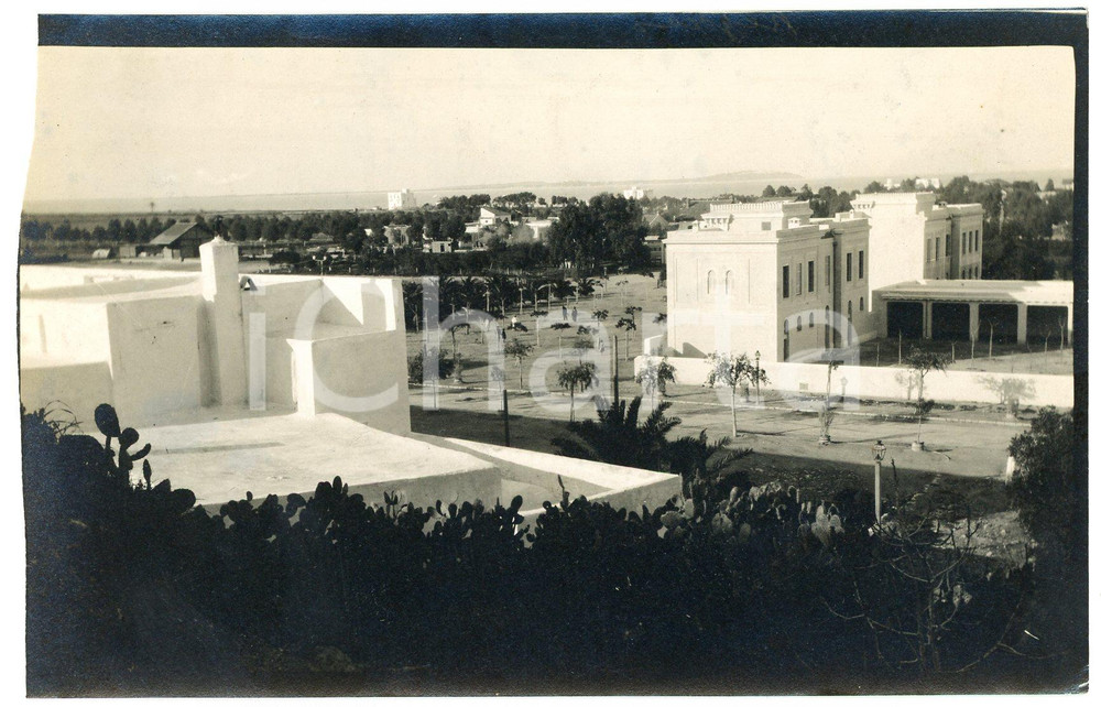 1920 ca ALGERIA - Veduta cittadina  - Foto VINTAGE 14x9 cm  Fotografia d'epoca. GOOD/buono margine sinistro rifilato Formato: 14x9 cm originale e autentica 1