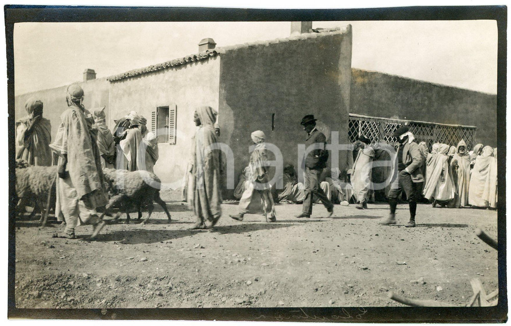 1920 ca ALGERIA - Uomini in un villaggio con il bestiame - Foto VINTAGE 14x9  Fotografia d'epoca. GOOD/buono margine sinistro rifilato Formato: 14x9 cm originale e autentica 1