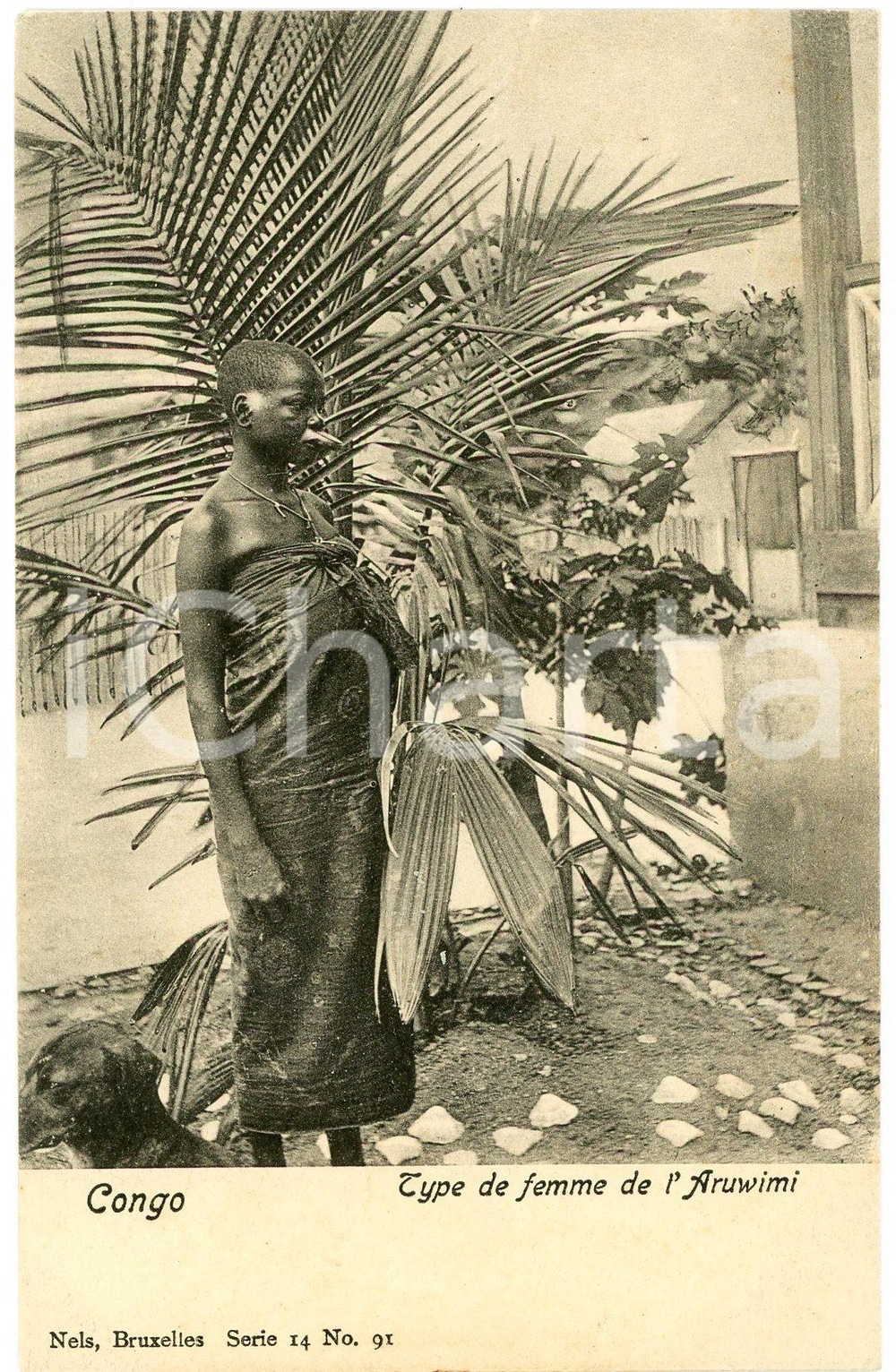 1900 ca CONGO BELGE Type de femme de l'ARUWIMI Carte postale FP NV  Cartolina d'epoca, non viaggiata. FAIR/discreto Lievi smussature agli angoli Formato: FP originale e autentica 1