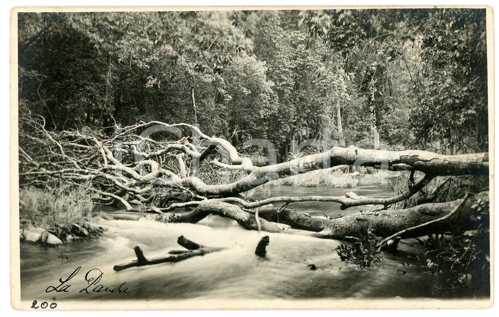 1930 ca CONGO BELGE - KATANGA Rivière PANDA - Photo L. GABRIEL n°200 Fotografia originale d'epoca, in formato cartolina postale.FOTOGRAFO: L&eacute;opold Gabriel   GOOD/buono ma minime macchie marginali Formato: 14x9 cm originale e autentica 1