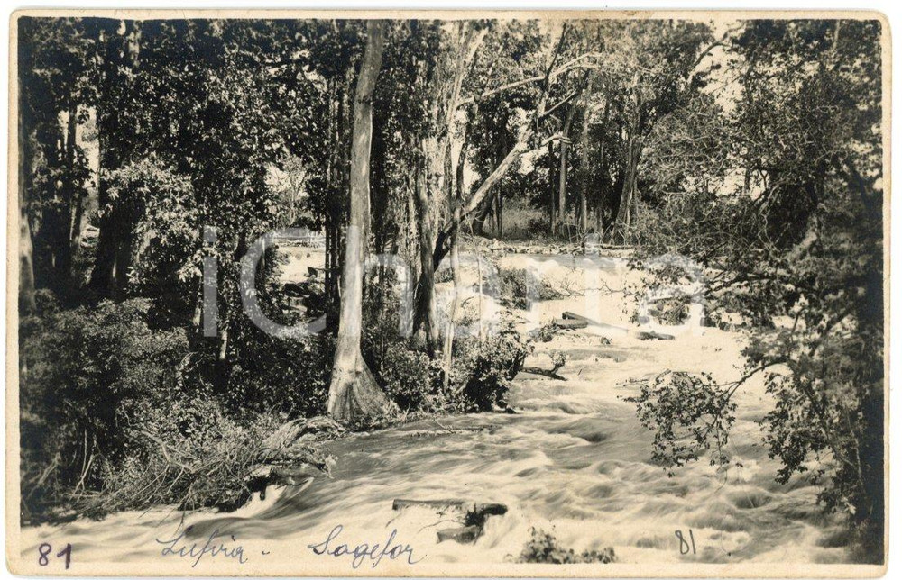 1930 ca CONGO BELGE - KATANGA Rivière LUFVIA - SOGEFOR *Photo L. GABRIEL 81 (2) Fotografia originale d'epoca, in formato cartolina postale.FOTOGRAFO: L&eacute;opold Gabriel - Panda - Katanga  GOOD/buono  Formato: 14x9 cm originale e autentica 1