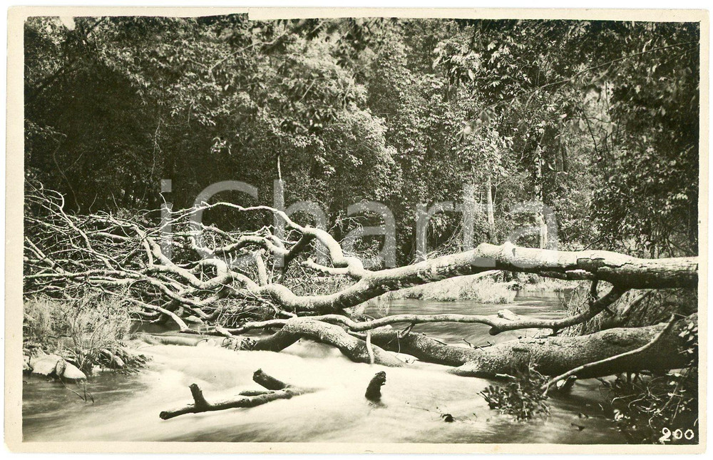 1930 ca CONGO BELGE - KATANGA - Rivière PANDA - Photo GABRIEL 200 Fotografia originale d'epoca, con timbro del fotografo al verso.FOTOGRAFO: L&eacute;opold Gabriel - Elisabethville  GOOD/buono  Formato: 9x14 cm originale e autentica 1