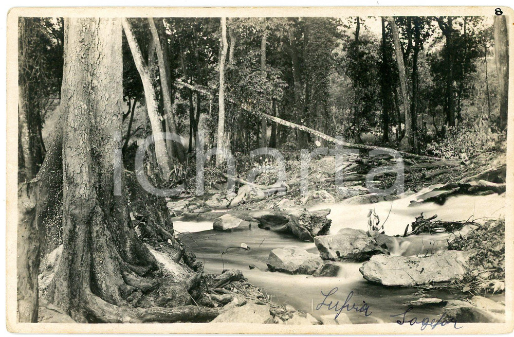 1930 ca CONGO BELGE - KATANGA Rivière LUFVIA - SOGEFOR *Photo L. GABRIEL 8 Fotografia originale d'epoca, in formato cartolina postale.FOTOGRAFO: L&eacute;opold Gabriel - Panda - Katanga  GOOD/buono  Formato: 14x9 cm originale e autentica 1
