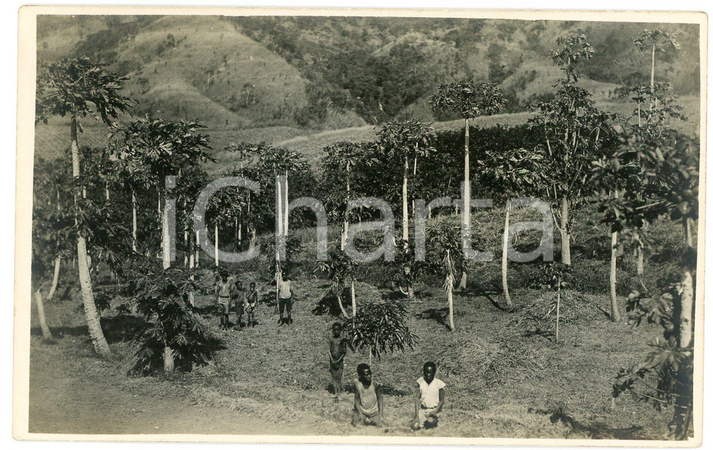1930 ca CONGO BELGE - KANSENIA - Jardin de la Mission - Photo L. GABRIEL 117 Fotografia originale d'epoca, in formato cartolina postale.FOTOGRAFO: L&eacute;opold Gabriel - Panda - Katanga  GOOD/buono  Formato: 14x9 cm originale e autentica 1