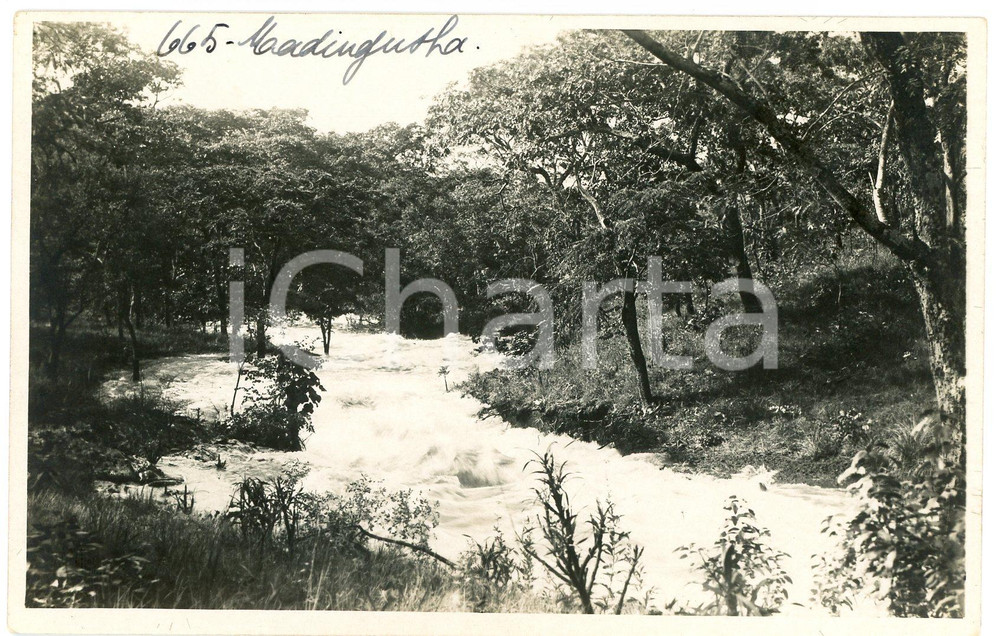 1930 ca CONGO BELGE - KATANGA - MWADINGUSHA *Photo L. GABRIEL 665 Fotografia originale d'epoca, in formato cartolina postale.FOTOGRAFO: L&eacute;opold Gabriel - Panda - Katanga  GOOD/buono  Formato: 14x9 cm originale e autentica 1
