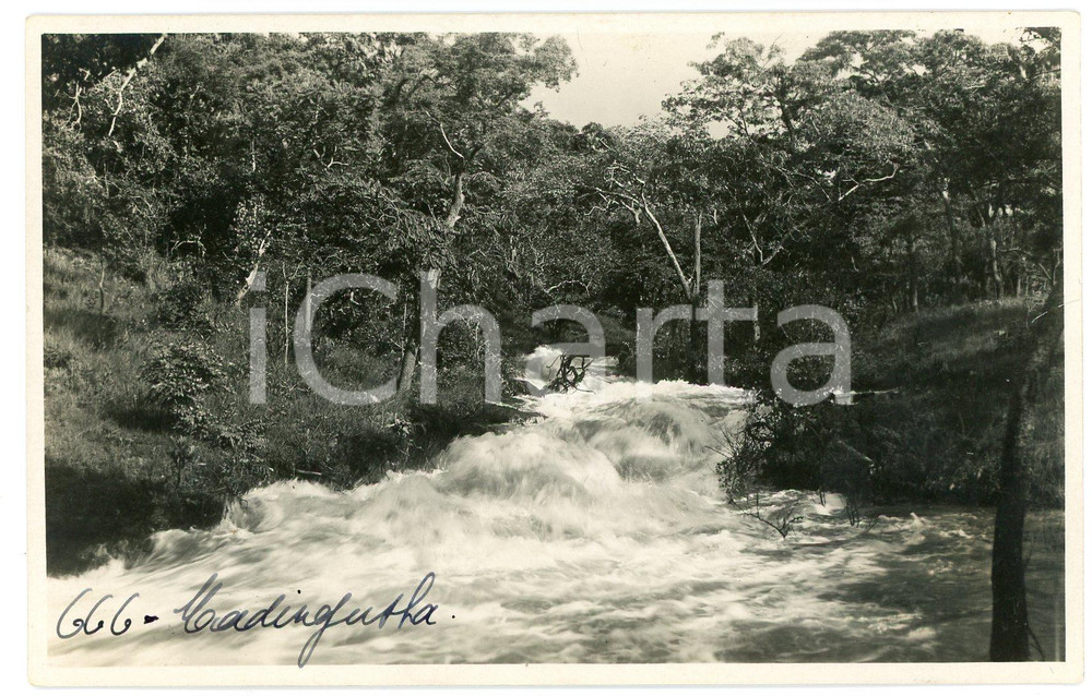 1930 ca CONGO BELGE - KATANGA - MWADINGUSHA *Photo L. GABRIEL 666 Fotografia originale d'epoca, in formato cartolina postale.FOTOGRAFO: L&eacute;opold Gabriel - Panda - Katanga  GOOD/buono  Formato: 14x9 cm originale e autentica 1