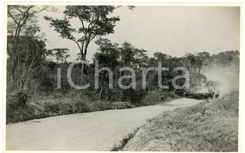 1930 ca CONGO BELGE - Troupeau de bétail - Photo Léopold GABRIEL n° 143 Fotografia originale d'epoca, in formato cartolina postale.FOTOGRAFO: L&eacute;opold Gabriel - Panda - Katanga  GOOD/buono  Formato: 14x9 cm originale e autentica 1