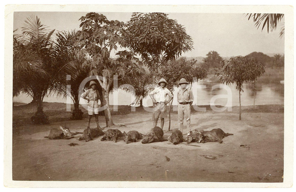 1930 ca CONGO BELGE - CHASSE - Européens avec leur gibier  - Photo 14x9 cm Fotografia originale d'epoca, in formato cartolina postale. FAIR/discreto lievi piegature Formato: 14x9 cm originale e autentica 1