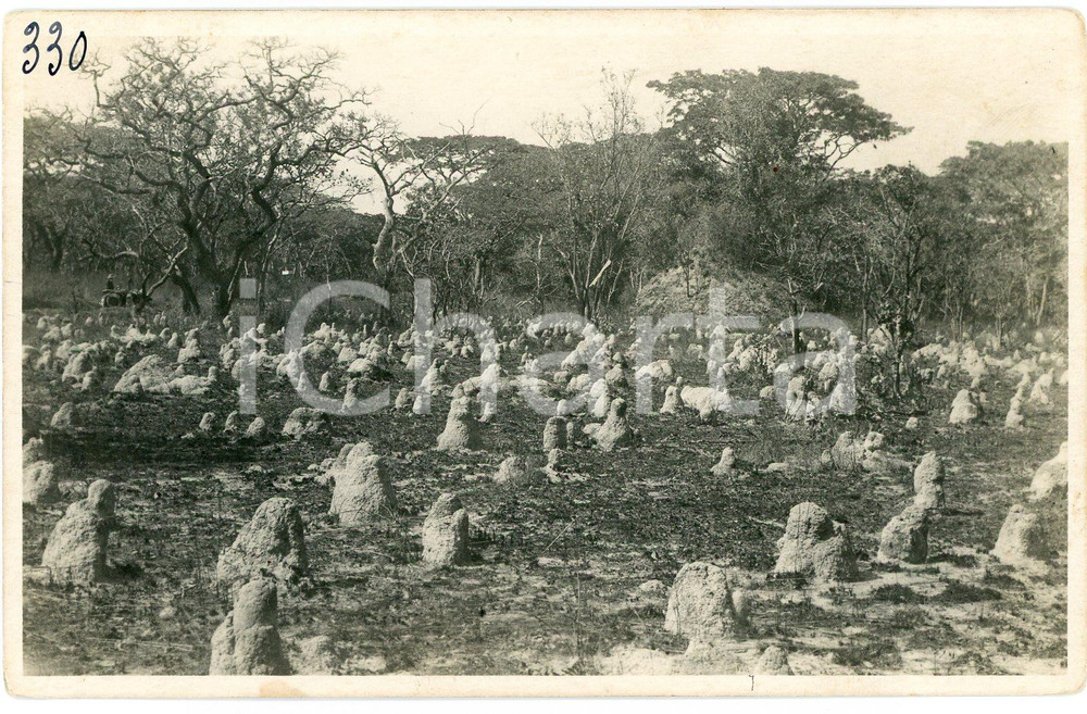 1930 ca CONGO BELGE - KATANGA - Termitières *Photo Léopold GABRIEL 330 Fotografia originale d'epoca, con timbro del fotografo al verso.FOTOGRAFO: L&eacute;opold Gabriel - Panda - Katanga   GOOD/buono  FORMATO: 14x9 cm originale e autentica 1