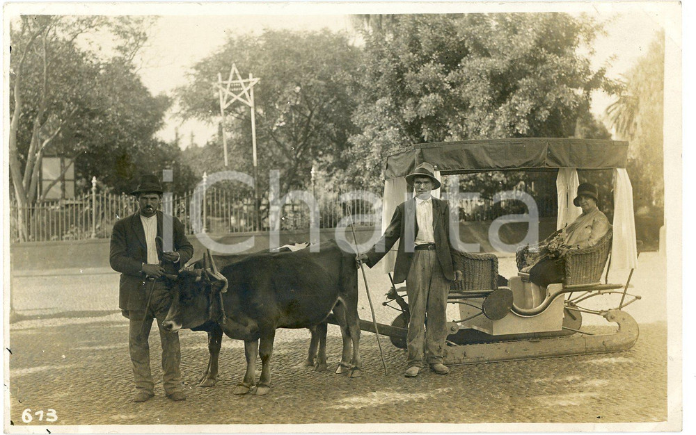 1930 ca MADEIRA (?) Portantina con coppia di buoi *Foto CURIOSA L. GABRIEL 613 Fotografia originale d'epoca, in formato cartolina postale.FOTOGRAFO: L&eacute;opold Gabriel  GOOD/buono  Formato: 14x9 cm originale e autentica 1