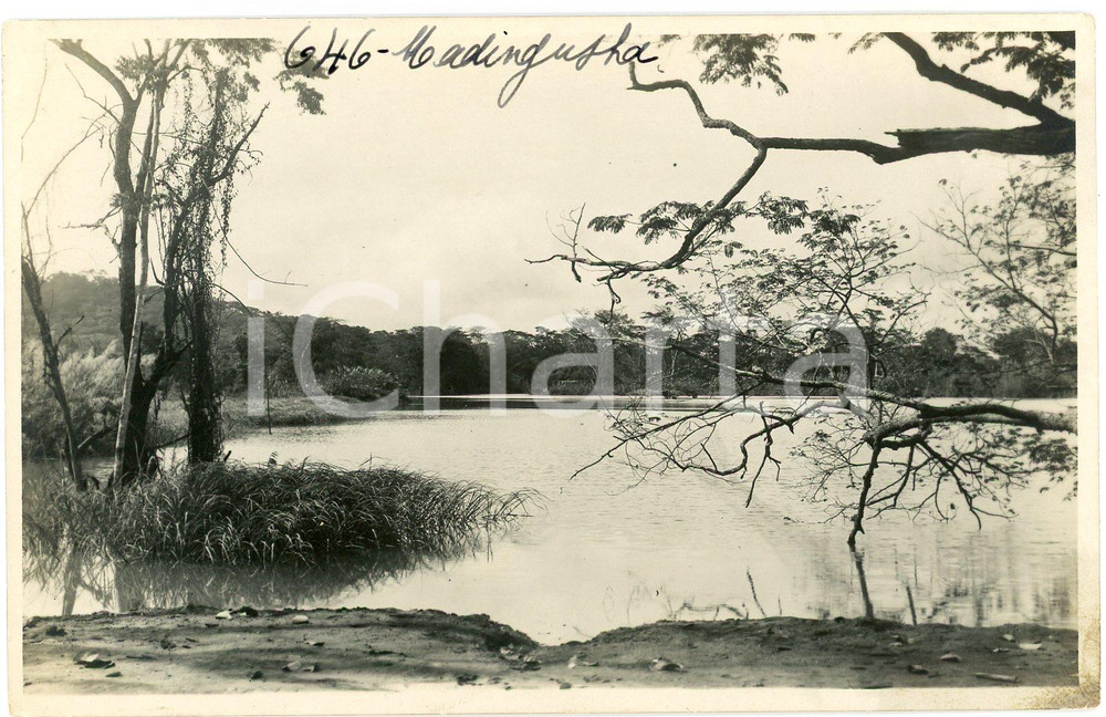 1930 ca CONGO BELGE - KATANGA - MWADINGUSHA *Photo L. GABRIEL 646 Fotografia originale d'epoca, in formato cartolina postale.FOTOGRAFO: L&eacute;opold Gabriel - Panda - Katanga  GOOD/buono  Formato: 14x9 cm originale e autentica 1