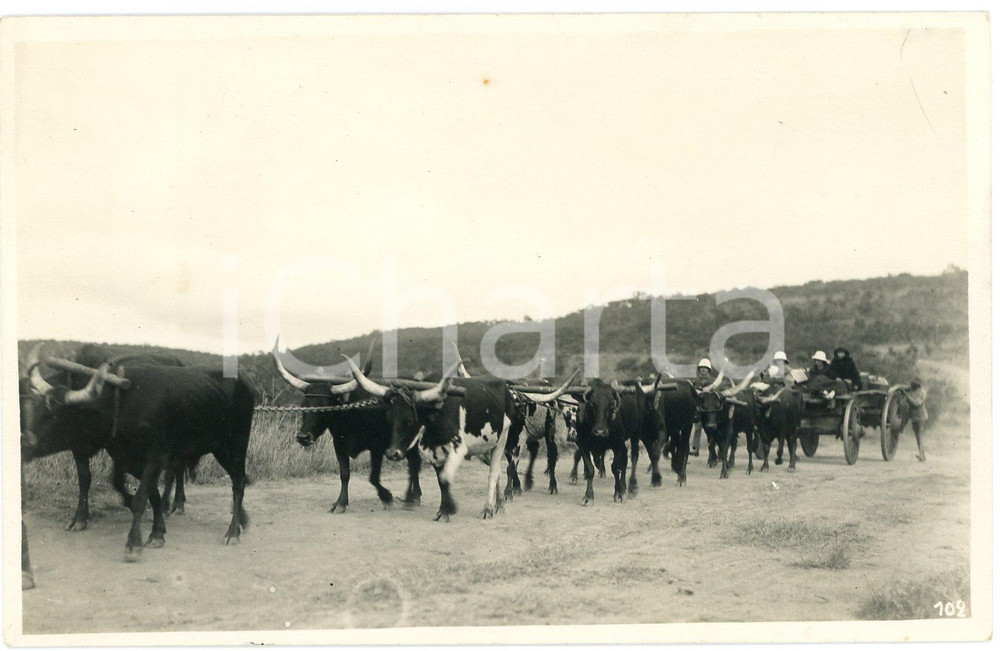 1930 ca CONGO BELGE KATANGA - KAPOLOWE Char de la mission *Photo L. GABRIEL 102 Fotografia originale d'epoca, in formato cartolina postale, con messaggio manoscritto al verso.FOTOGRAFO: L&eacute;opold Gabriel - Panda - Katanga  GOOD/buono  Formato: 9x14 cm originale e autentica 1