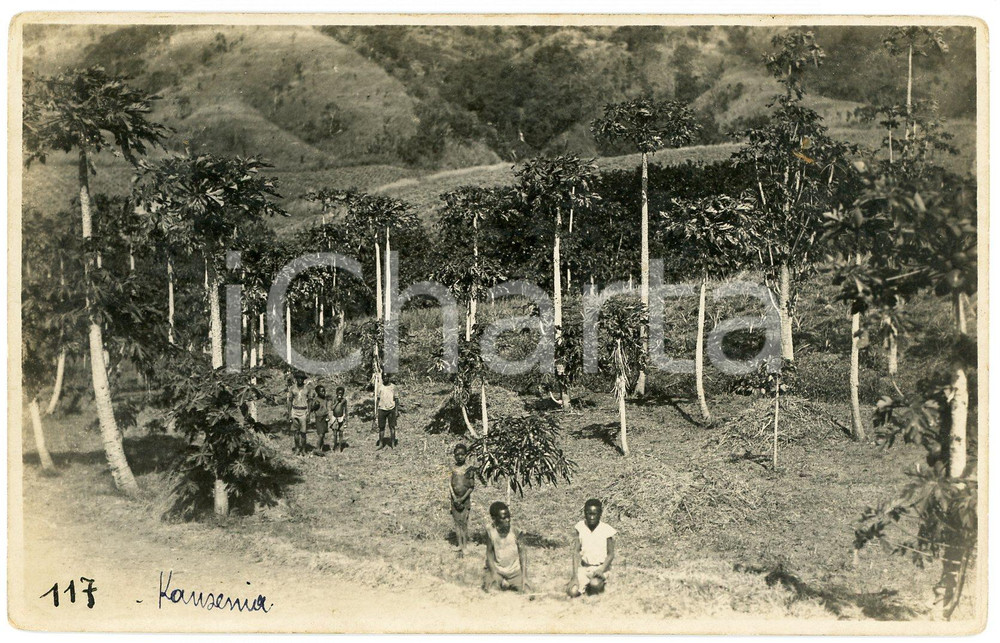 1930 ca CONGO BELGE KANSENIA  Jardins de la Mission *Photo L. GABRIEL 117 Fotografia originale d'epoca, in formato cartolina postale.FOTOGRAFO: L&eacute;opold Gabriel - Panda - Katanga  GOOD/buono  Formato: 14x9 cm originale e autentica 1