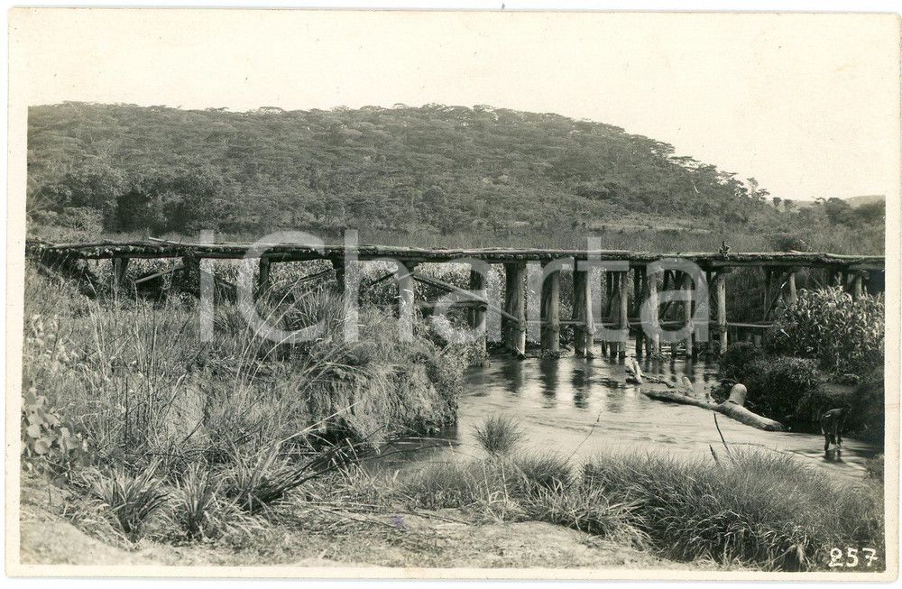 1930 ca CONGO KATANGA Pont sur la Mura à  Kabontwé *Photo L. GABRIEL 257 (2) Fotografia originale d'epoca, con timbro del fotografo al verso.FOTOGRAFO: L&eacute;opold Gabriel - Panda - Katanga  GOOD/buono  Formato: 14x9 cm originale e autentica 1