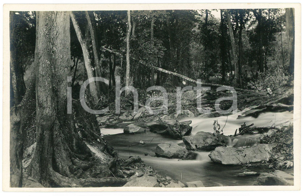 1930 ca CONGO BELGE - Rivière LUFIVA - Photo Léopold GABRIEL n° 8 Fotografia originale d'epoca, in formato cartolina postale.FOTOGRAFO: L&eacute;opold Gabriel - Panda - Katanga   GOOD/buono  FORMATO: 14x9 cm originale e autentica 1