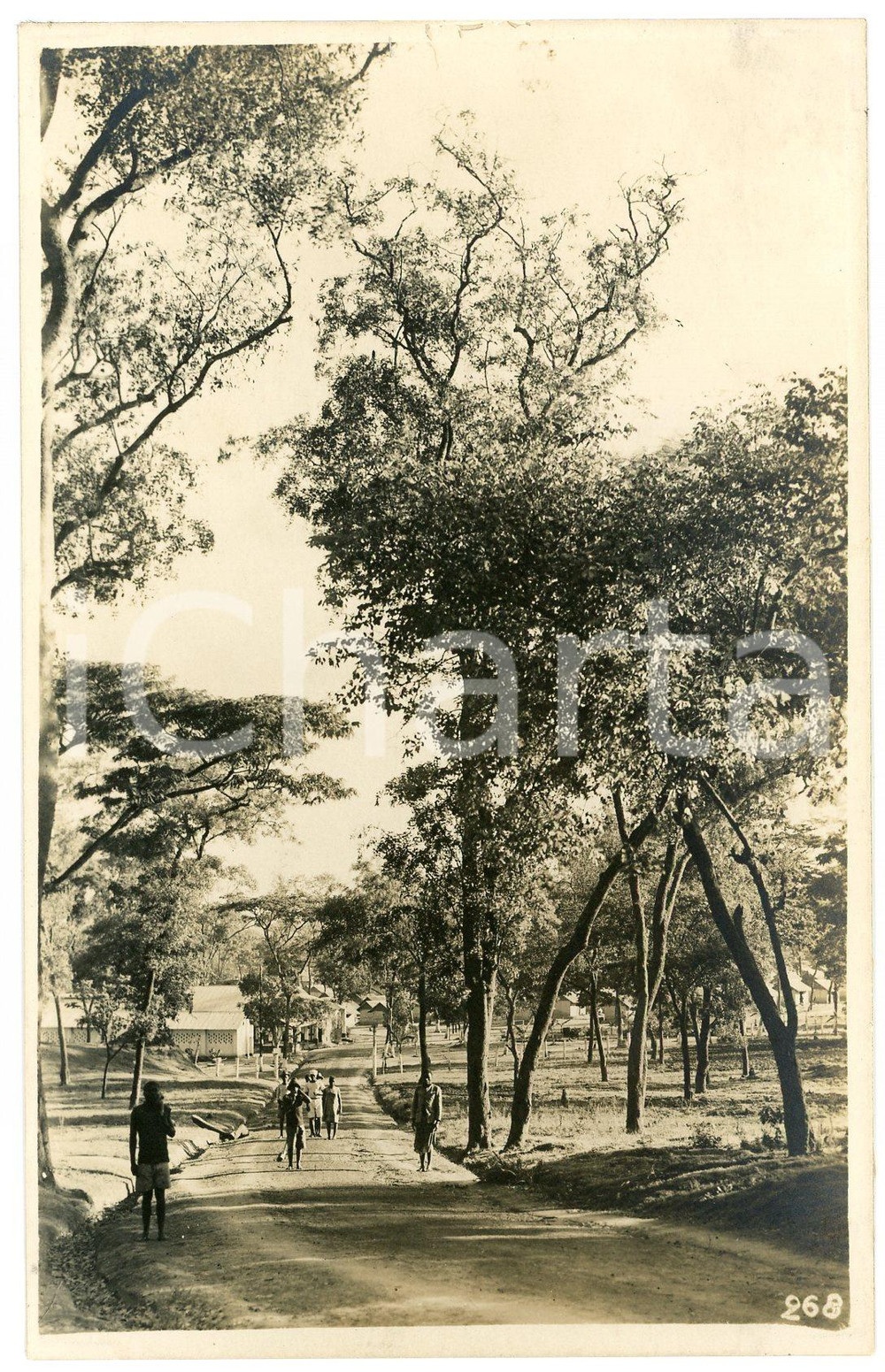 1930 ca ELISABETHVILLE (CONGO BELGE) Une rue *Photo Léopold GABRIEL 268 Fotografia originale d'epoca, in formato cartolina postale.FOTOGRAFO: L&eacute;opold Gabriel - Panda - Katanga GOOD/buono  Formato: 9x14 cm originale e autentica 1
