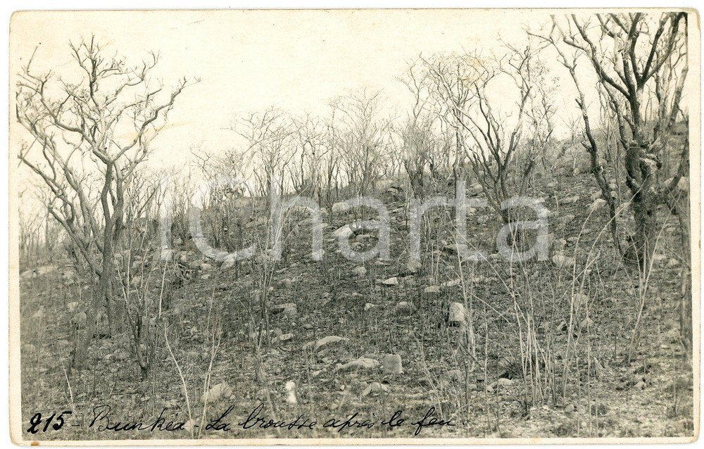 1930 ca CONGO BELGE KATANGA - BUNKEYA Brousse après le feu *Photo L. GABRIEL 215 Fotografia originale d'epoca, in formato cartolina postale.FOTOGRAFO: L&eacute;opold Gabriel GOOD/buono  Formato: 14x9 cm originale e autentica 1