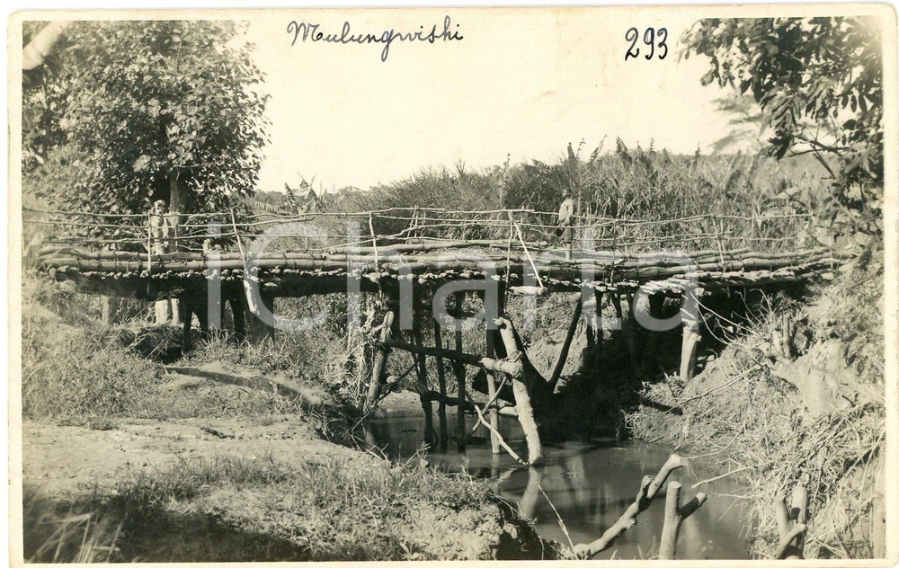 1930 ca CONGO BELGE - MULUNGWISHI Pont troncs d'arbres (2) *Photo L. GABRIEL 293 Fotografia originale d'epoca, in formato cartolina postale.FOTOGRAFO: L&eacute;opold Gabriel - Panda - Katanga  GOOD/buono  Formato: 14x9 cm originale e autentica 1