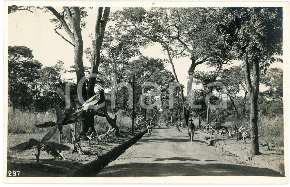 1930 ca CONGO BELGE - KATANGA - LUISHIA - Boulevard ^Photo L. GABRIEL 297 Fotografia originale d'epoca, in formato cartolina postale.FOTOGRAFO: L&eacute;opold Gabriel - Panda - Katanga  GOOD/buono  Formato: 14x9 cm originale e autentica 1