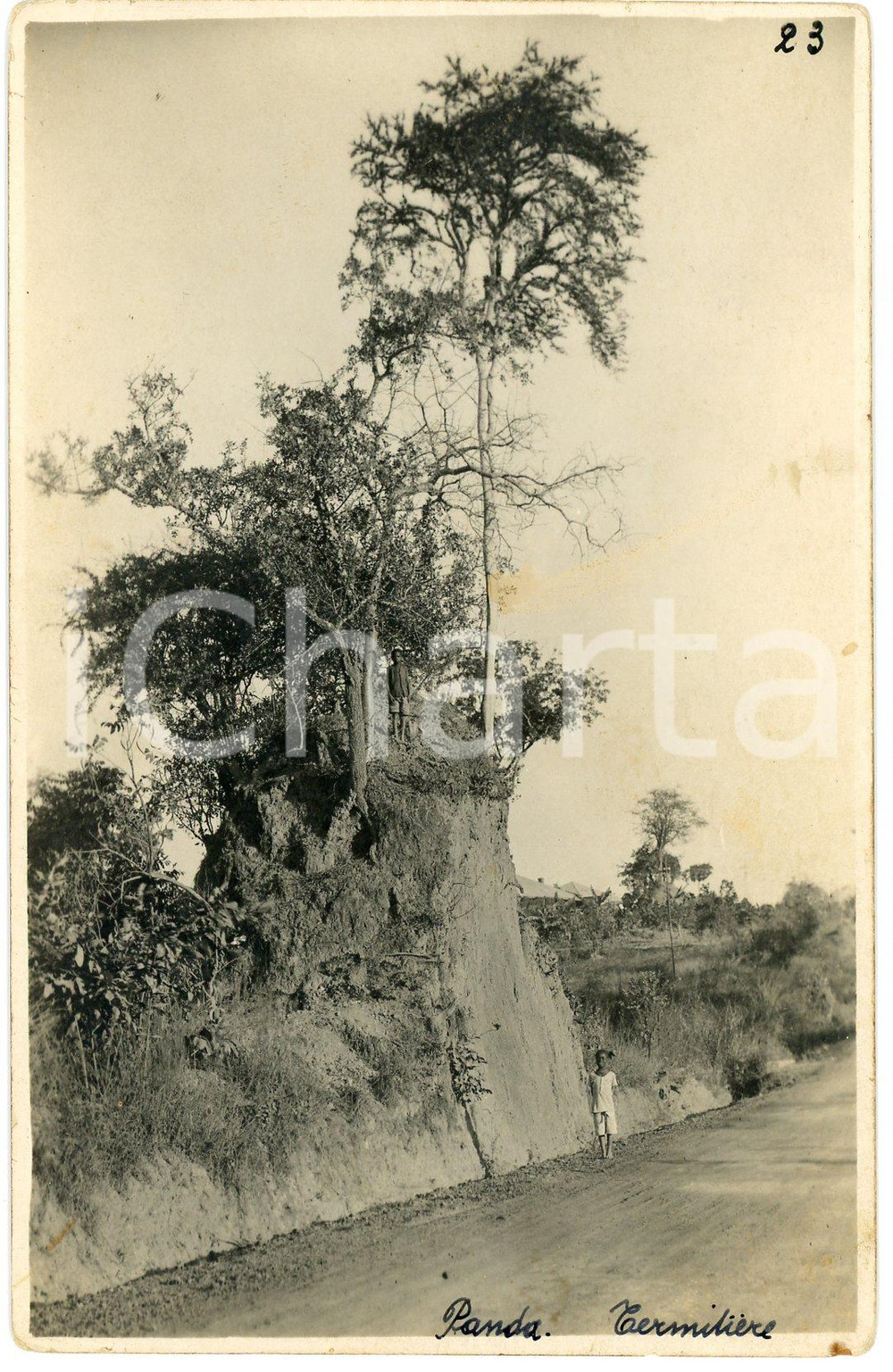 1930 ca CONGO BELGE Rivière PANDA - Termitière *Photo L. GABRIEL 23 Fotografia originale d'epoca, in formato cartolina postale.FOTOGRAFO: L&eacute;opold Gabriel - Panda - Katanga  FAIR/discreto minime smussature angolari e minima macchia Formato: 9x14 cm originale e autentica 1