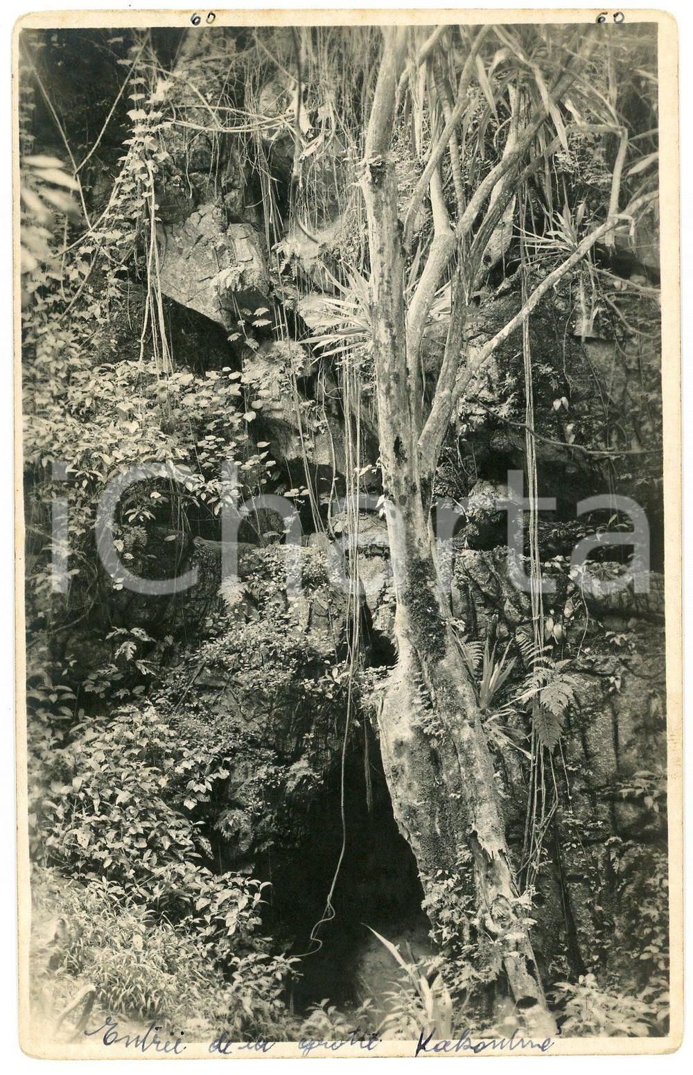 1930 ca CONGO BELGE - KATANGA - Entrée grottes - Photo Léopold GABRIEL 60 Fotografia originale d'epoca, in formato cartolina postale.FOTOGRAFO: L&eacute;opold Gabriel - Panda - Katanga  GOOD/buono  Formato: 9x14 cm originale e autentica 1