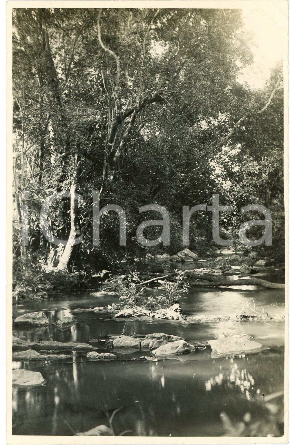 1930 ca CONGO BELGE - KATANGA - Rivière ^Photo Léopold GABRIEL 390 Fotografia originale d'epoca, in formato cartolina postale.FOTOGRAFO: L&eacute;opold Gabriel - Panda - Katanga   GOOD/buono  FORMATO: 9x14 cm originale e autentica 1