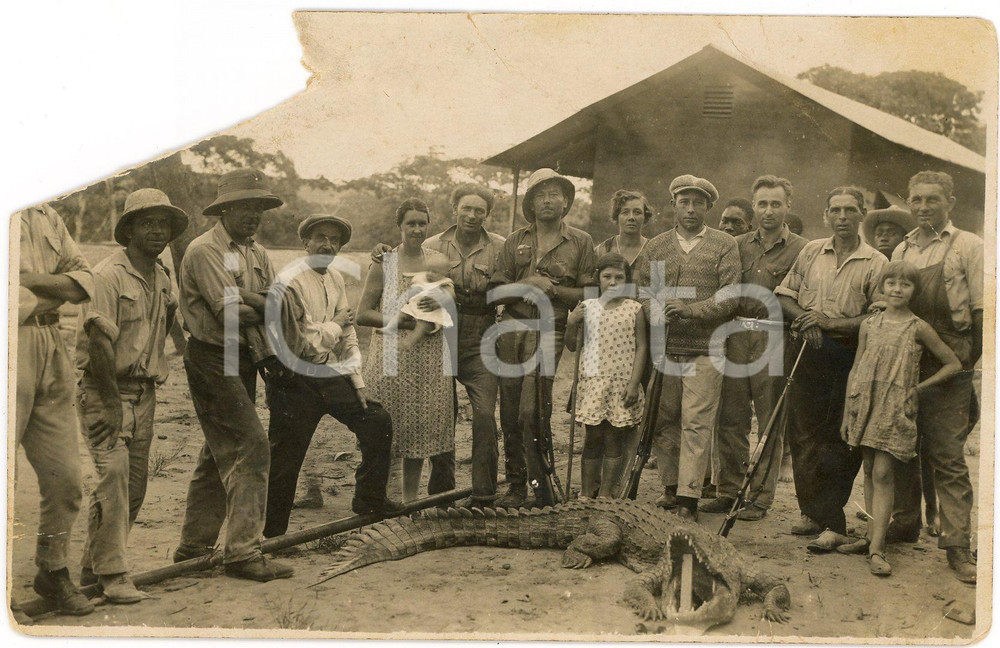1930 ca CONGO BELGE - CHASSE - Européens avec crocodile mort - DAMAGED Photo Fotografia originale d'epoca, in formato cartolina postale. VERY POOR/gravemente danneggiato ampia mancanza angolare; piegature angolari Formato: 14x9 cm originale e autentica 1