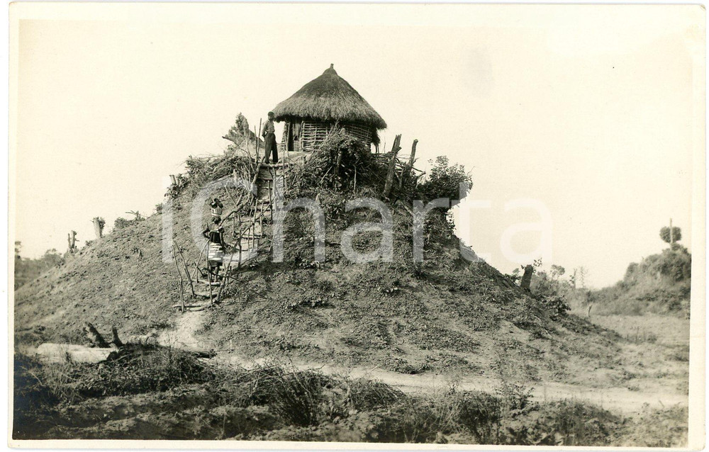 1930 ca CONGO BELGE - Hutte indigène isolée - Photo ANIMEE 14x9 cm Fotografia originale d'epoca, in formato cartolina postale. GOOD/buono  Formato: 14x9 cm originale e autentica 1