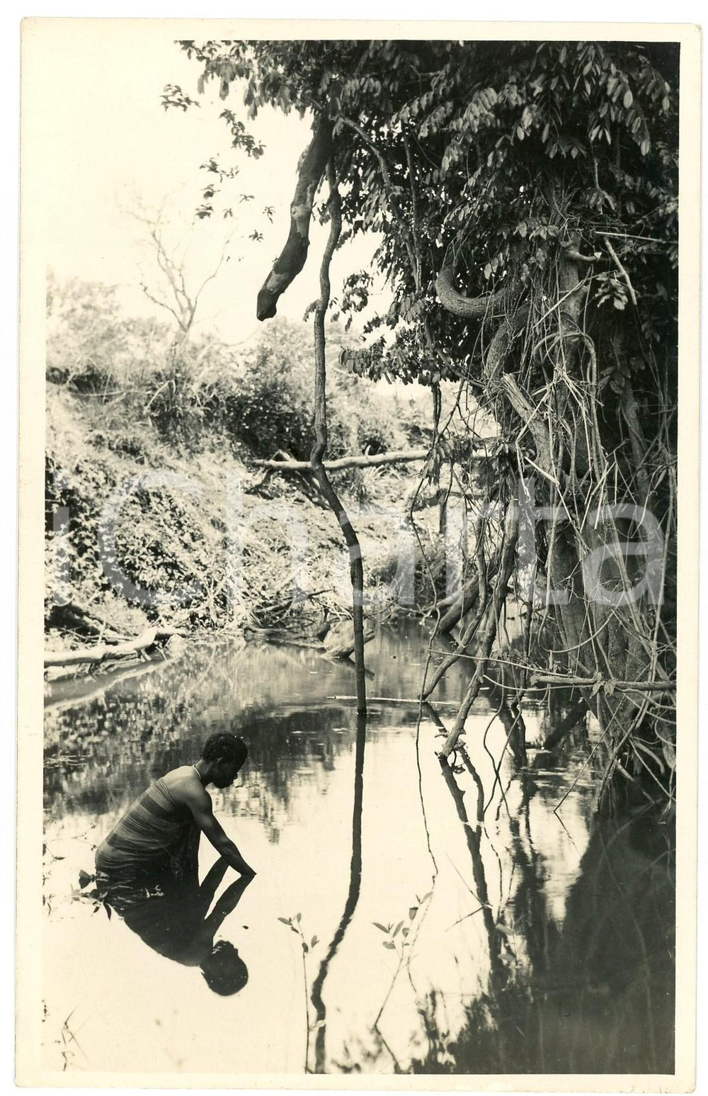 1929 CONGO BELGE - KATANGA - Femme dans une rivière *Photo L. GABRIEL n° 363 Fotografia originale d'epoca, in formato cartolina postale.FOTOGRAFO: L&eacute;opold Gabriel - Panda - Katanga   GOOD/buono  FORMATO: 9x14 cm originale e autentica 1
