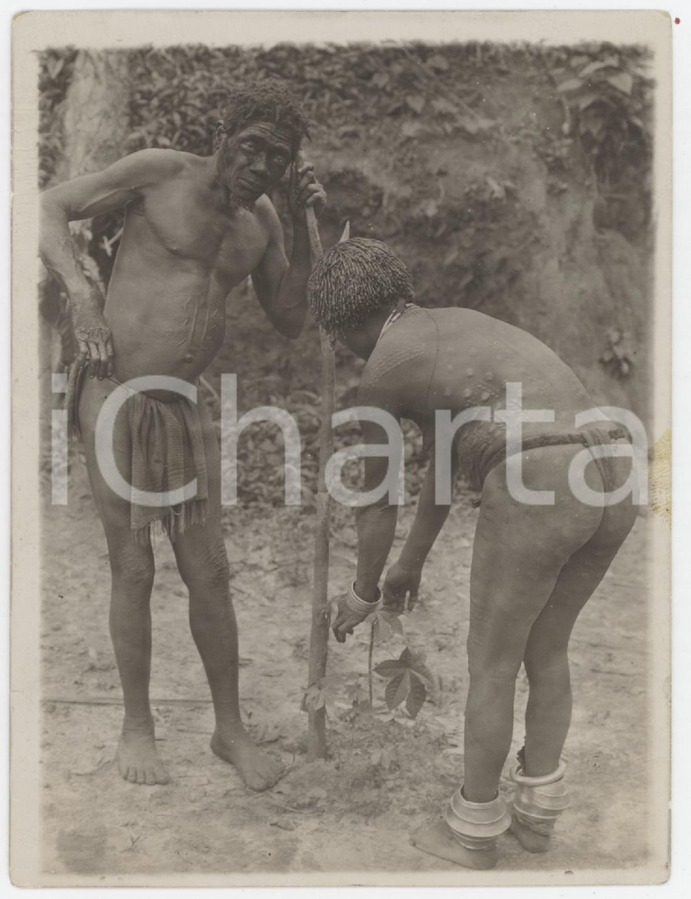 1930 ca CONGO BELGE Homme et femme de la race MONGO Scarification - Postcard Fotografia d'epoca.  FAIR/discreto Lievi smussature agli angoli Formato: 8x12 originale e autentica 1